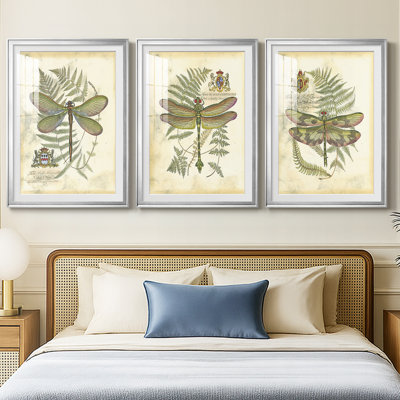Regal Dragonfly II (PP)   -Custom Framed  Premium Print W Matt - 3 Pieces
