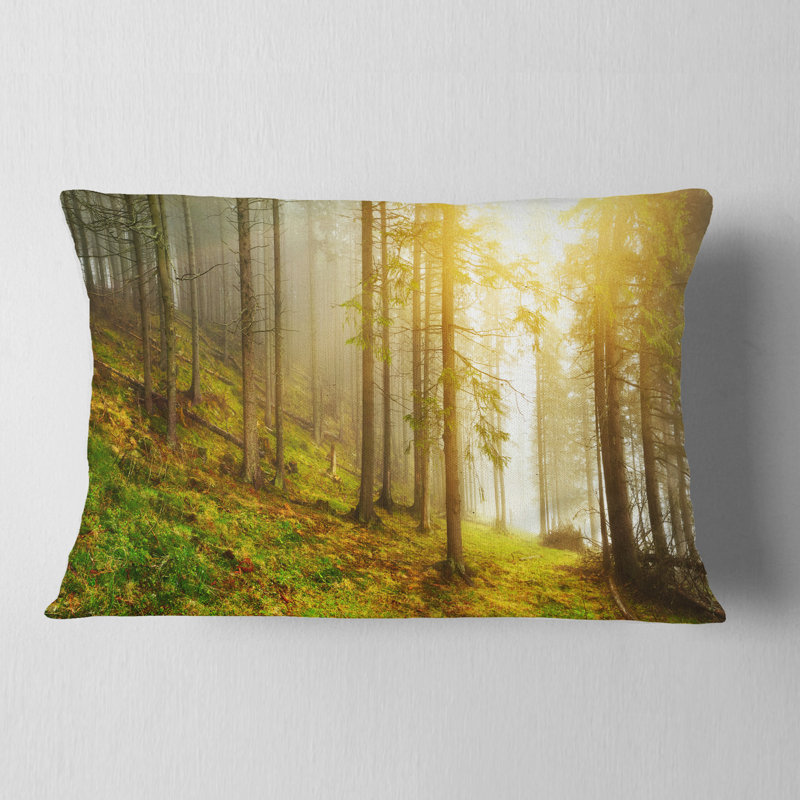 Coussin lombaire Schafer