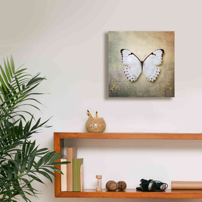 French Butterfly II by Debra Van Swearingen - Wrapped Canvas Print