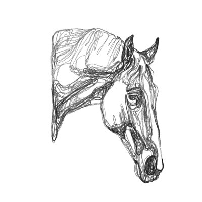 Equine Contour III