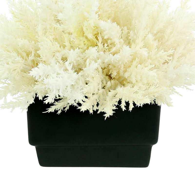 Arrangement floral Pampas dans un vase, H 13 po x l 16 po x P 16 po, Noir / blanc