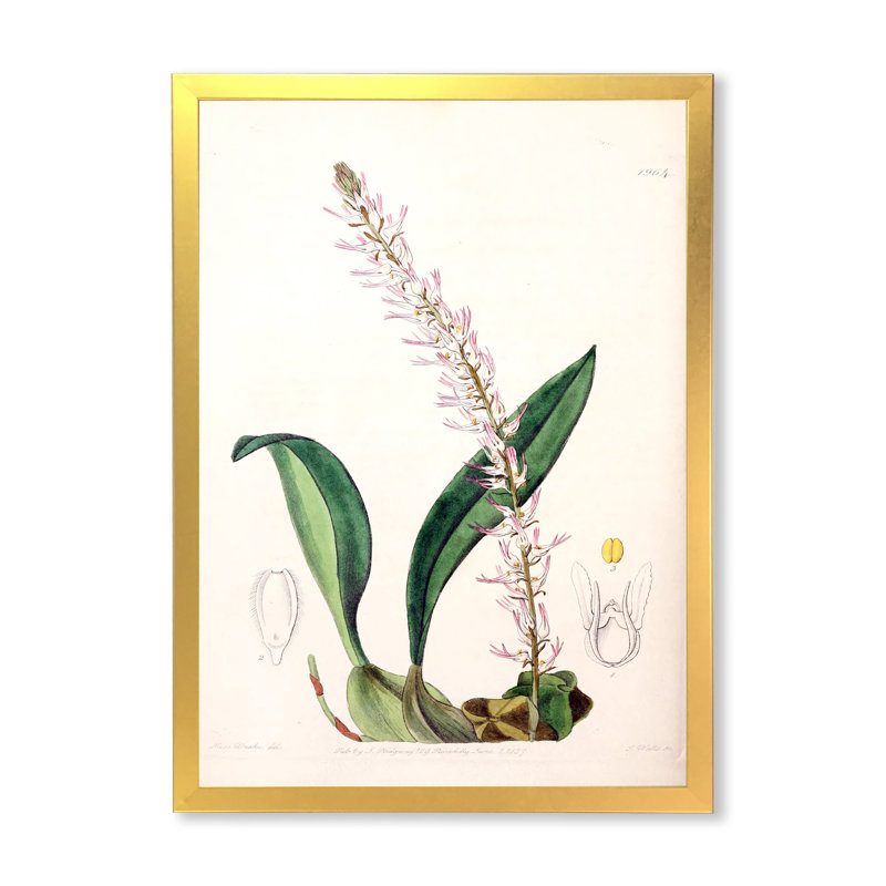 Vintage London Plants V - peinture sur toile, H 20 po x l 12 po x P 1po, Cadre doré