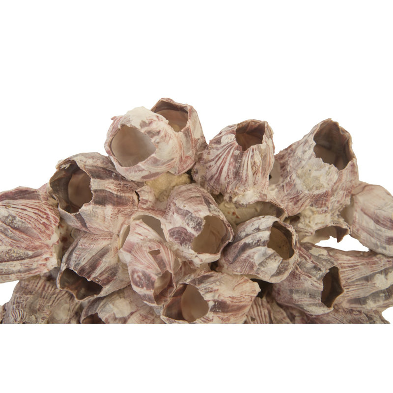 Ensemble de 3 décorations murales Barnacle, H 7 po x l 12 po x P 12 po