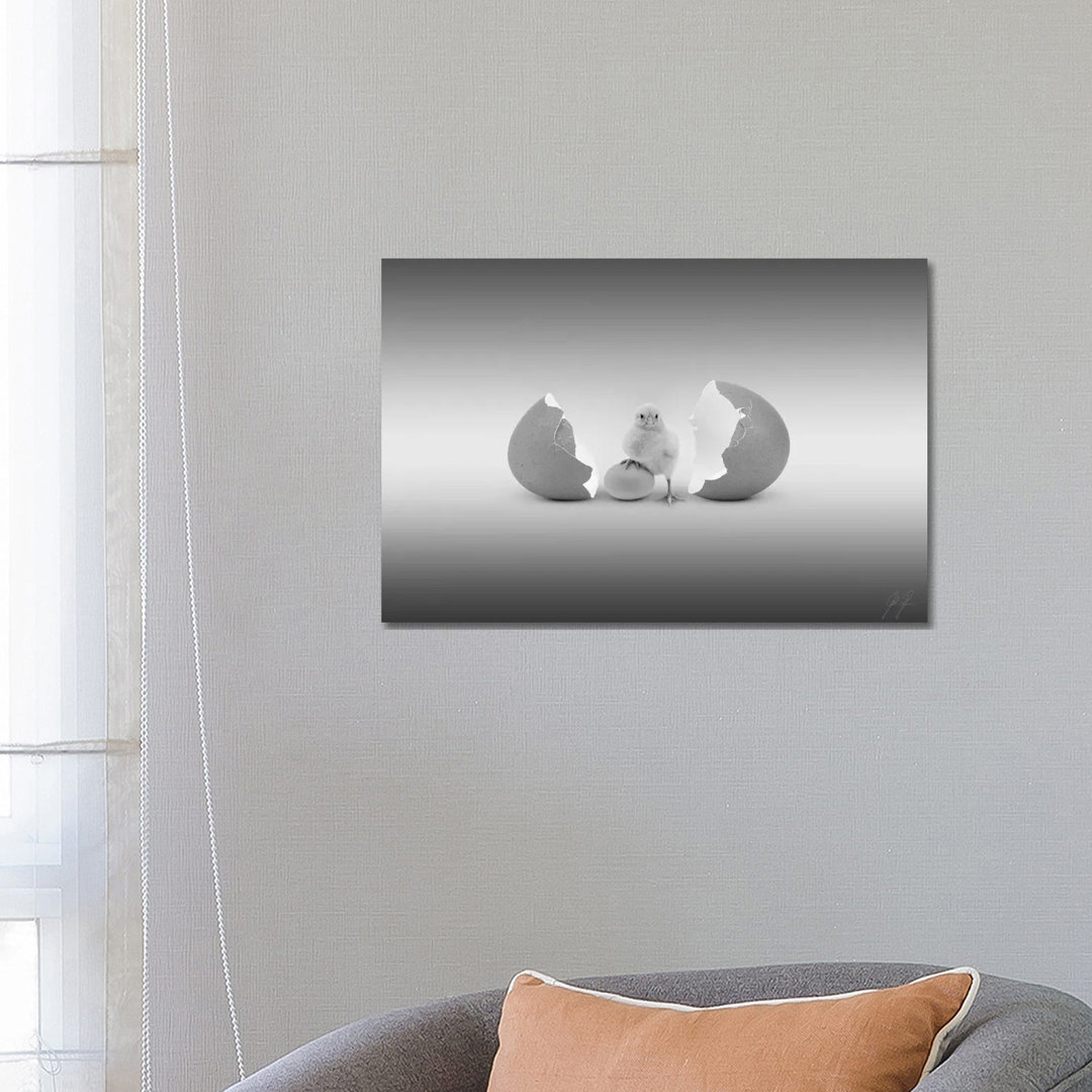 Which Came First by Kathrin Federer - Wrapped Canvas Gallery-Wrapped Canvas Giclée