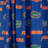 NCAA Semi Sheer Curtain Pair-3300047