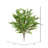Fern Arrangement