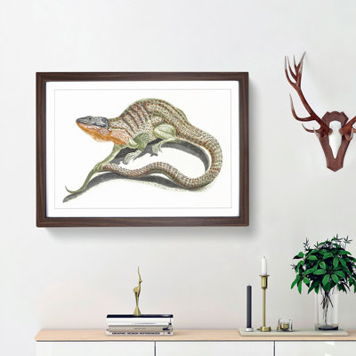 Lizard by Johan Teyler - Framed Print