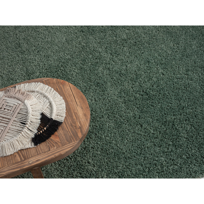 Lush shaggy carpet in  green, Rectangular 200 x 290cm