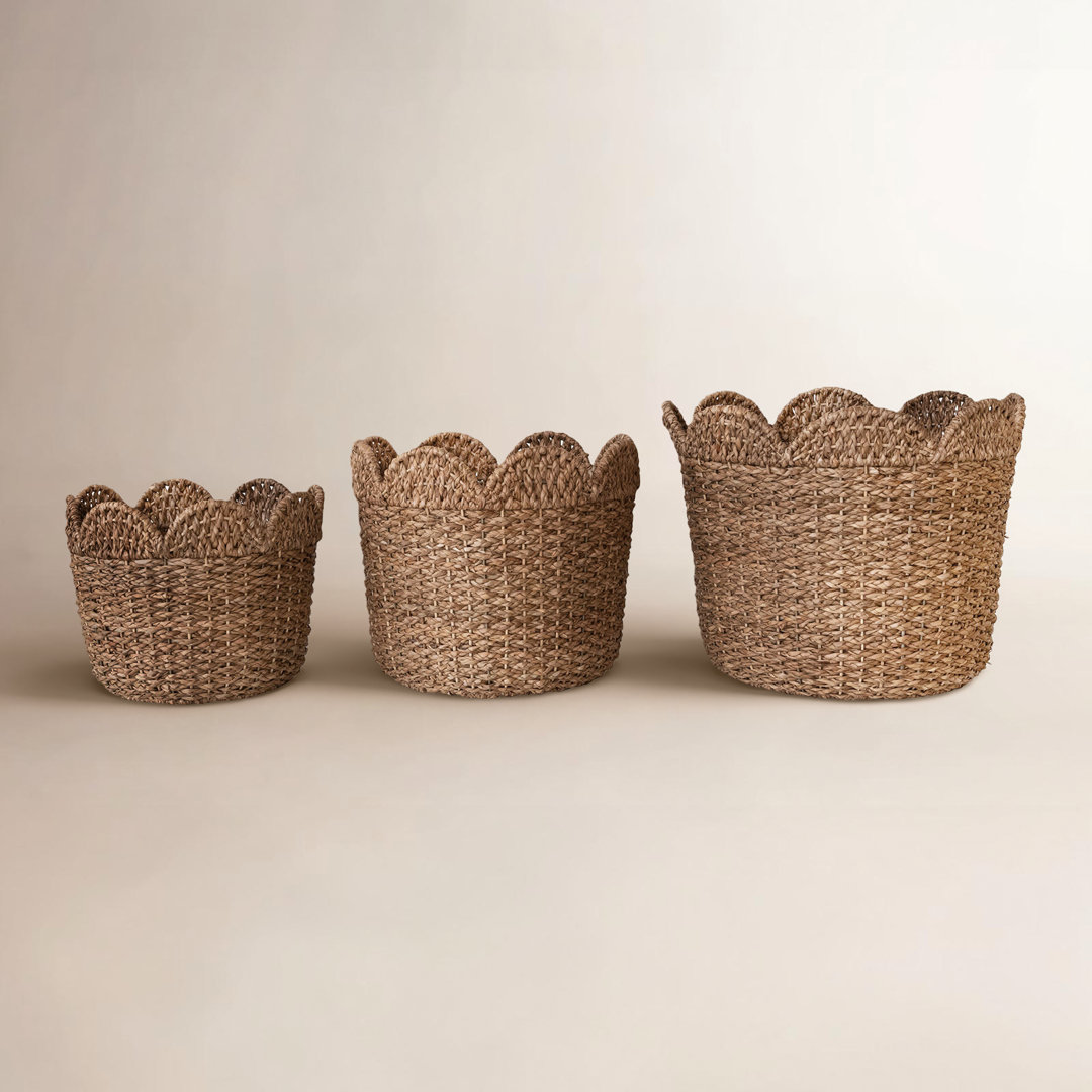 Birch Lane™ Arin Bankuan Basket Birch Lane™