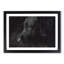 Black Labrador Retriever Painting - Single Picture Frame Print on MDF-56632867-56632869