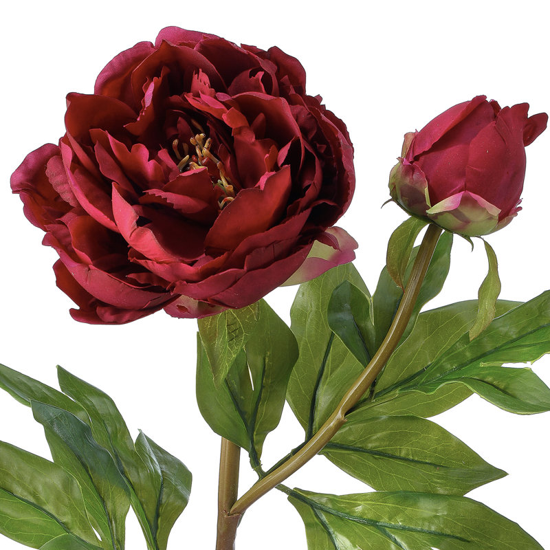 Pivoine de jardin 26 po Just Cut, Rouge, H 26 po x l 9 po x P 6 po