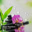Rideau de douche Spa Zen Garden-1773211888