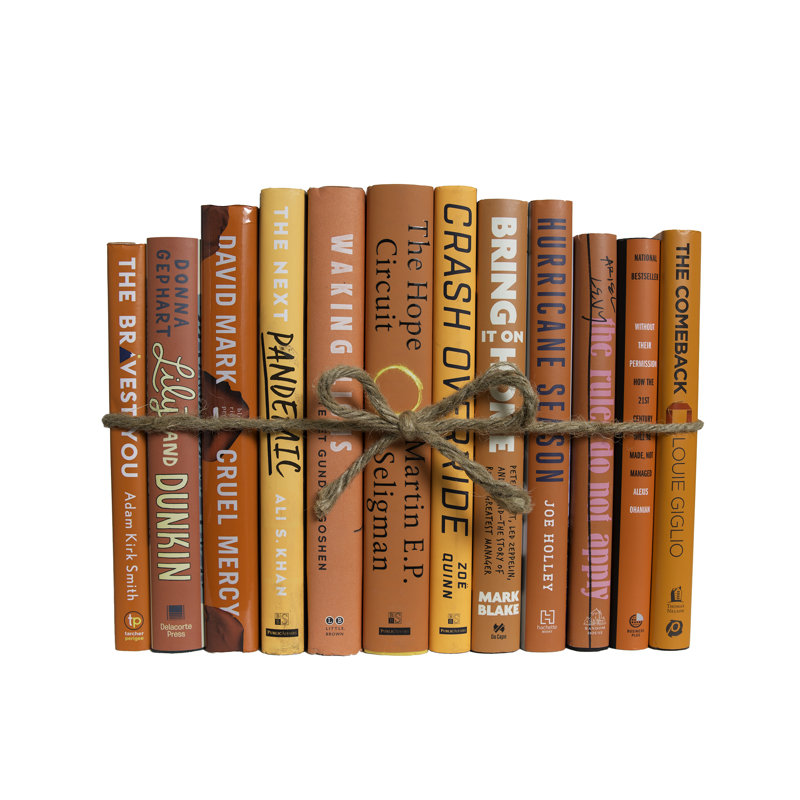 Livres décoratifs - Ensemble de livres pour jaquette d'agrumes - 1 pied de livres orange