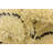 Oliver Ivory Rug