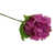 Fuchsia is out of stock