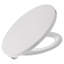Elongated Toilet Seat