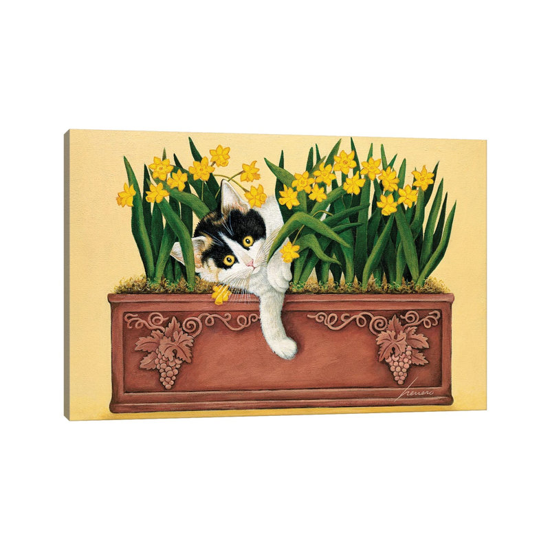 Pinot Howell Shafer 1 Piece Wrapped Canvas Painting, 30.48 cm H x 45.72 cm W