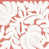 Corail