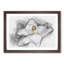 Blooming White Magnolia in Abstract - Picture Frame Drawing Print-55687021-55687022