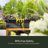 Arvester Resin Window Box Planter with Water Reservoir-486148946