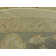 Moore Oriental Indoor Rug