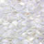 Oyster 1" Fish Scale Polished Pearl Mosaic Tile