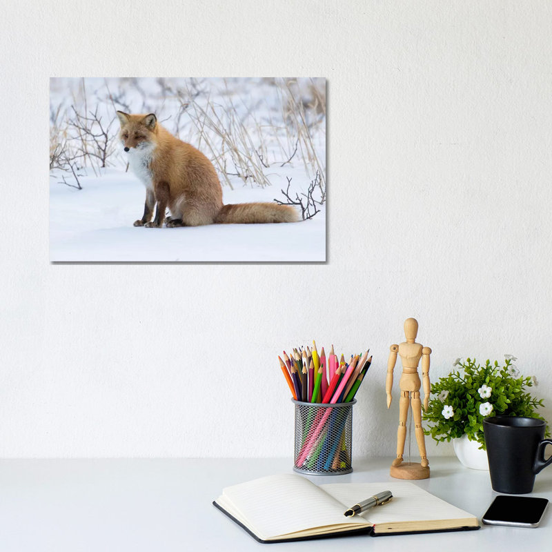 «Red Fox Sitting In Snow» par Darrell Gulin - photographie sur toile tendue, H 8 po x l 12 po x P 0,75 po
