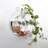 Fish Tank Clear Wall Mounted Acrylic Creative Flower Pot for Home