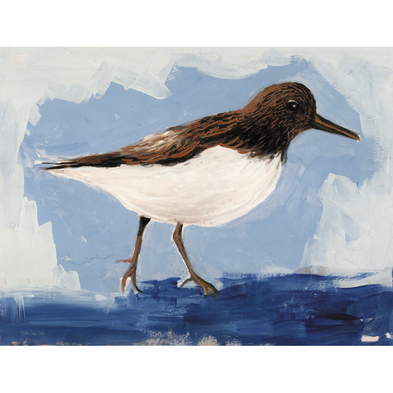 «Sandpiper 1 on Canvas» par Stellar Design Studio, reproduction, H 32 po x l 48 po