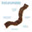 One-of-a-Kind 0.25'' Wood Bird Perch for Inside Cage