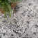 Fullwood Power Loom Traditional Faded Medallion Gray Rug
