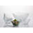 Essentials Jewel 5 Piece Bowl Set