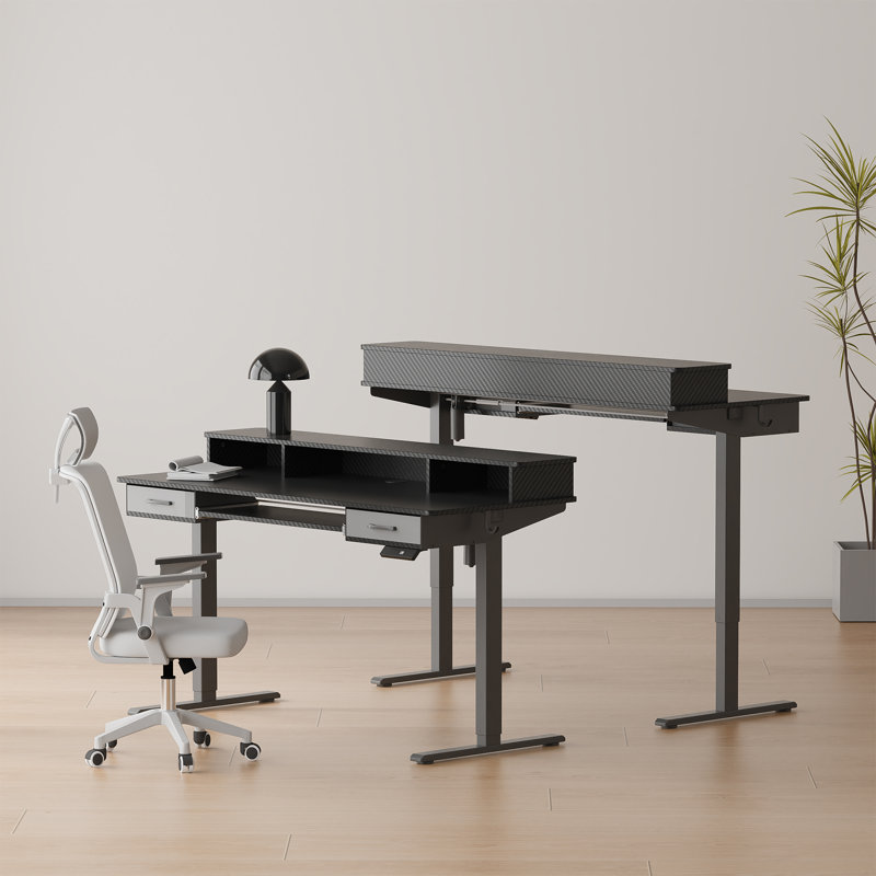 55" Inches Electric Standing Desk with Keyboard Tray, Height Adjustable Stand up Desk with 2 Drawers, Ergonomic Sit to Stand Desk with Storage Monitor Stand, Computer Table, Black