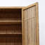 Bibliothèques modernes et populaires