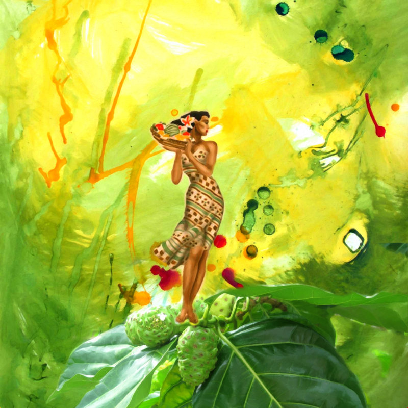 «Leigha Deb Haugen Fruit Lady» par Deb Haugen - impression sur toile tendue, H 30 po x l 30 po, Cadre flottant érable, Non