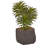 6'' Faux Succulent Plant in Ceramic Planter