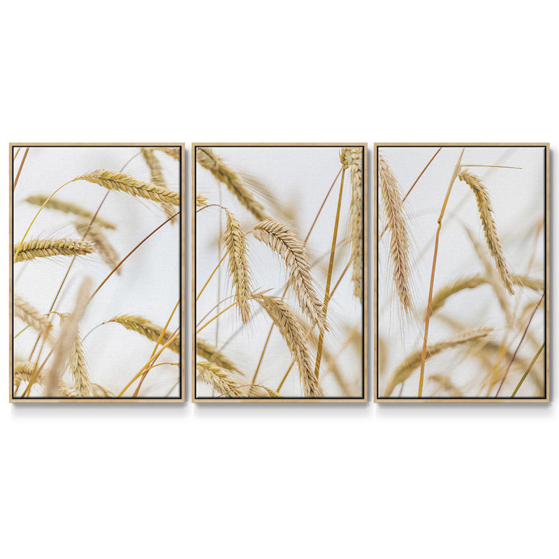 Blé 3 pièces, Naturel, H 24 po x l 48 po x P 2 po