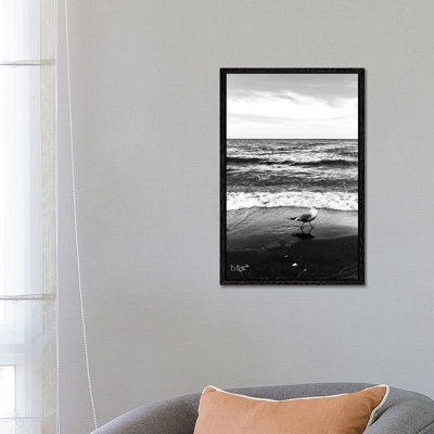 Seagull I by Donnie Quillen - Print on Canvas