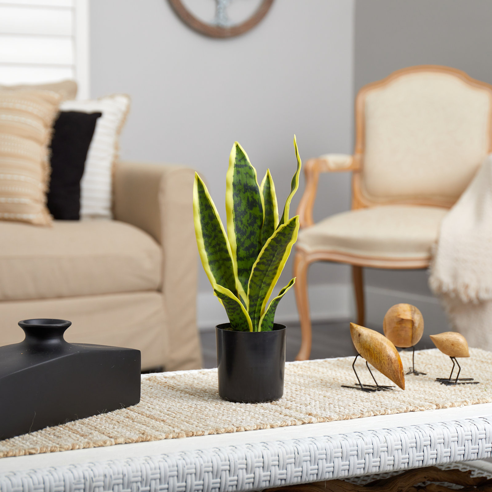 30" Snake Plant in Pot, 14" H x 6" W x 6" D, Yellow