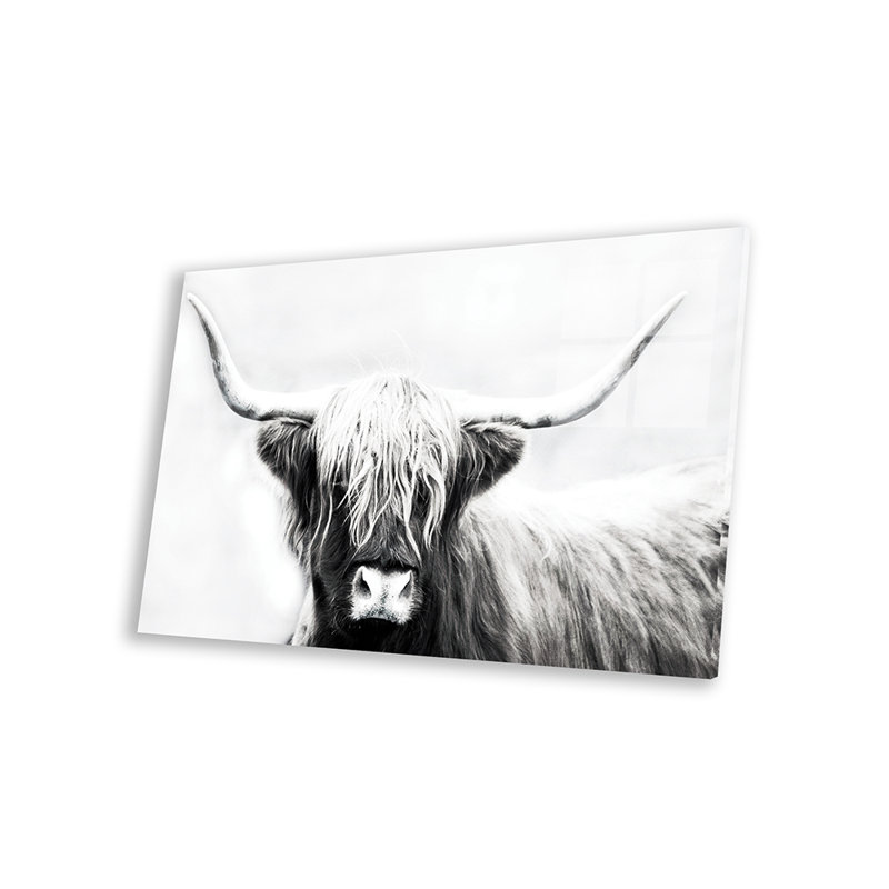 Highland Longhorn par Danita Delimont - photographie non encadrée, H 16 po x l 24 po x P 0,25 po