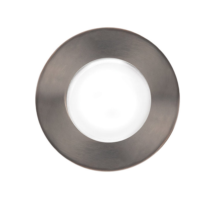 LED Well Light, Bronzed Stainless Steel