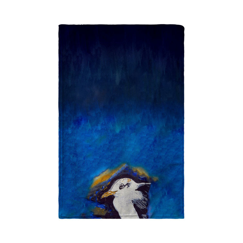 Dish Cloth Kitchen Towel