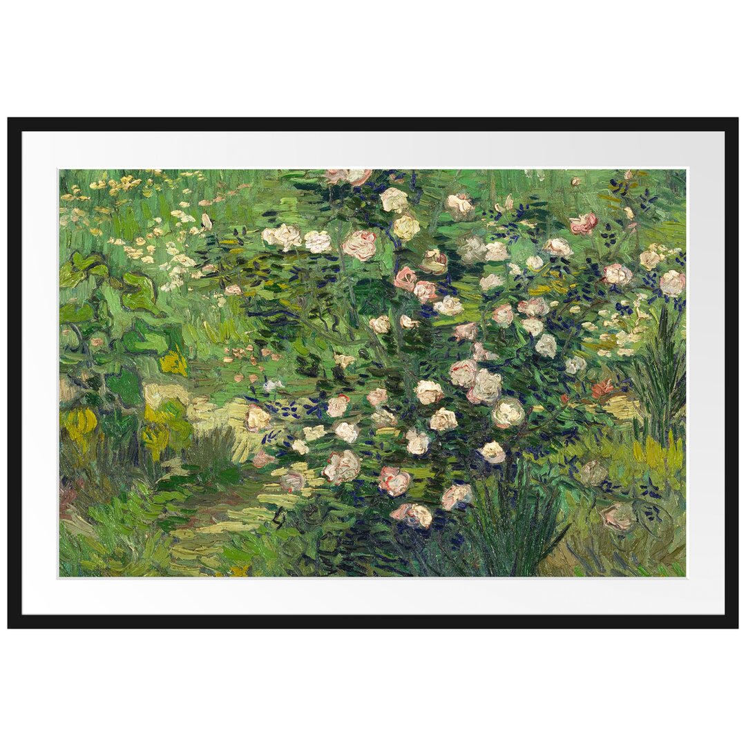 Gerahmter Kunstdruck Roses von Vincent Van Gogh