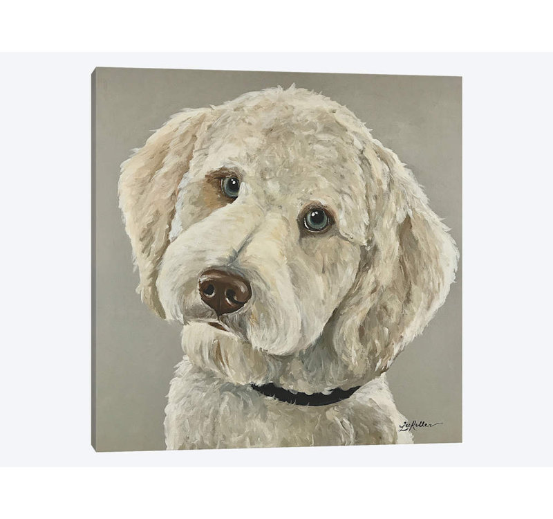 «Goldendoodle with Blue Eyes» par Hippie Hound Studios, impression sur toile tendue, 26 po x 26 po x 1,5 po, Toile tendue