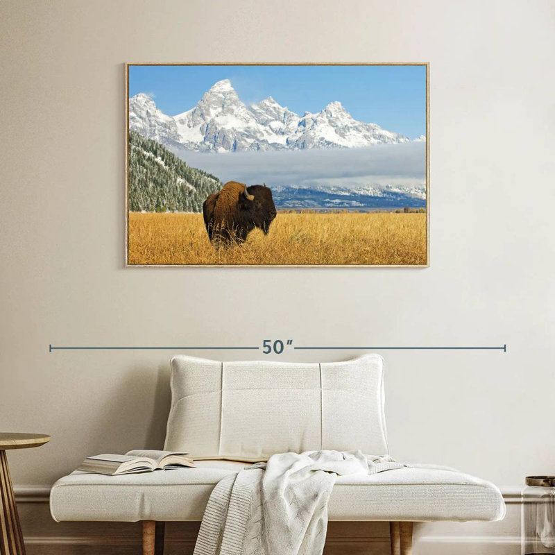Grand Teton Bison Bull, Floating Frame Natural Wood, 40" X 27"