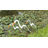 Monier Weather Resistant Plastic Animals Garden Art