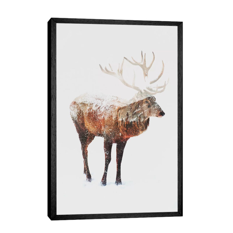 Deer V by Andreas Lie - Print on Canvas, Black Floater Framed, 101.6 cm H x 66.04 cm W