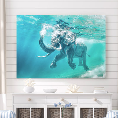 " Elephant Splashdown "