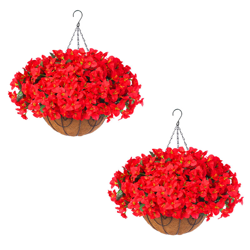 52cm Plant
