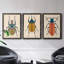 Beetle Bug I - ensemble de 3 peintures sur toile encadrées-1777886051-1777886077